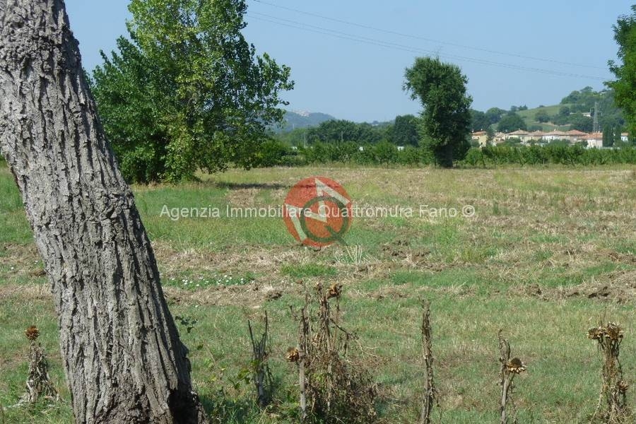 Immagine annuncio immobiliare quattromura fano