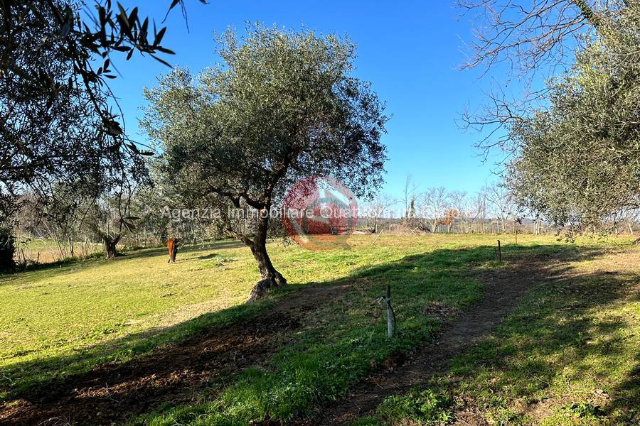 Immagine annuncio immobiliare quattromura fano