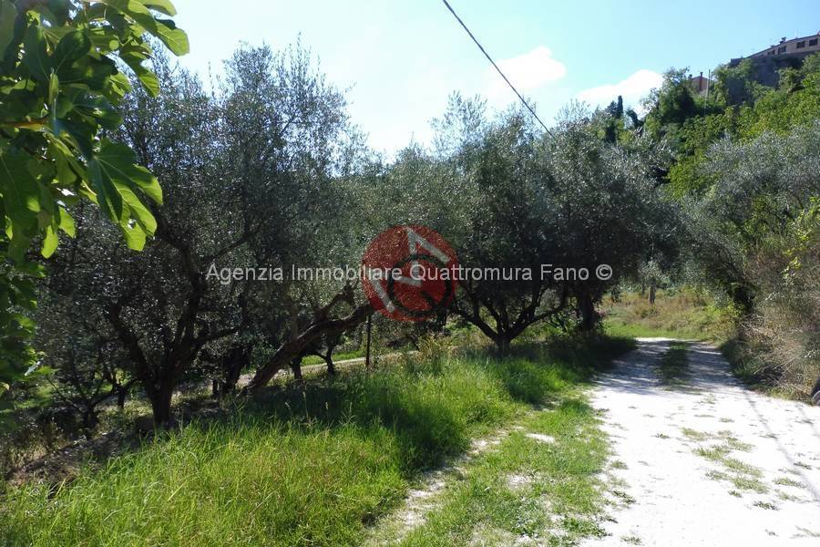 Immagine annuncio immobiliare quattromura fano