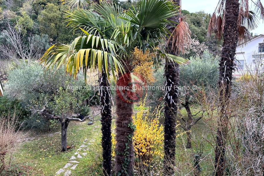 Immagine annuncio immobiliare quattromura fano