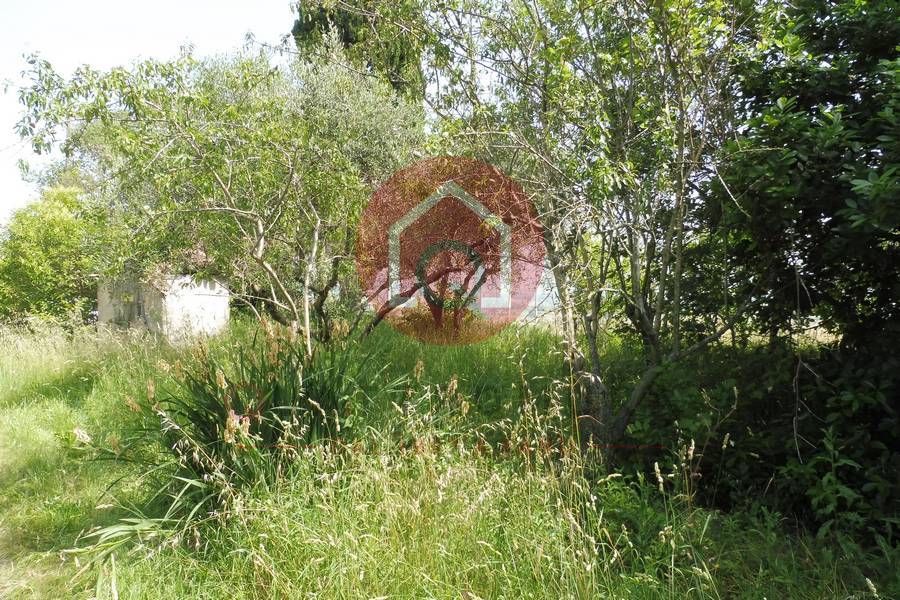 Immagine annuncio immobiliare quattromura fano