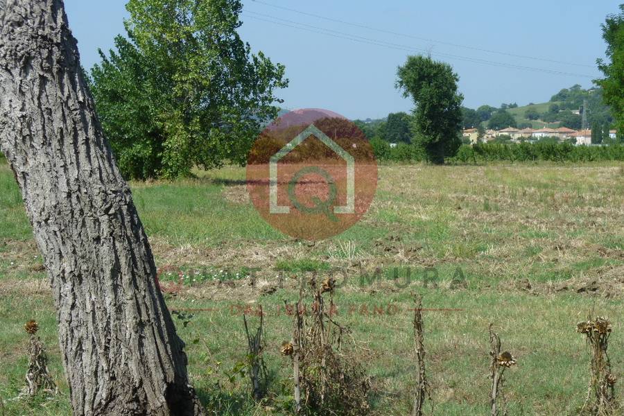 Immagine annuncio immobiliare quattromura fano