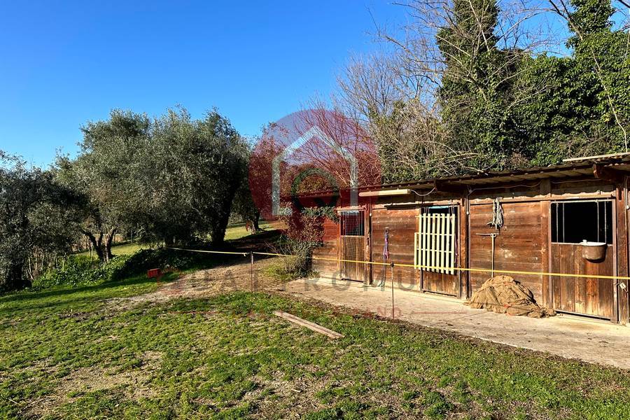 Immagine annuncio immobiliare quattromura fano
