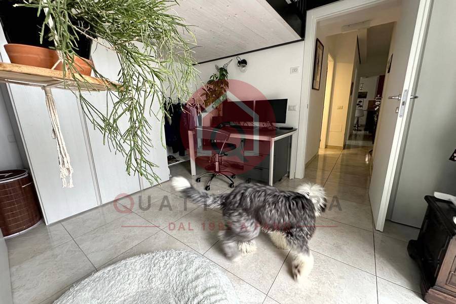 Immagine annuncio immobiliare quattromura fano